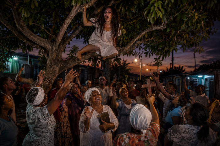 The Coolie Duppy in the Ackee Tree